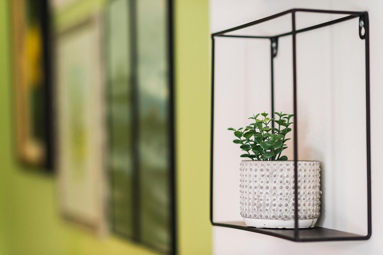 Maka Appartements - Omis Duće Szoba fotó